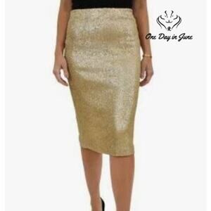 DR2 Pull On Sequin Pencil Skirt Size S